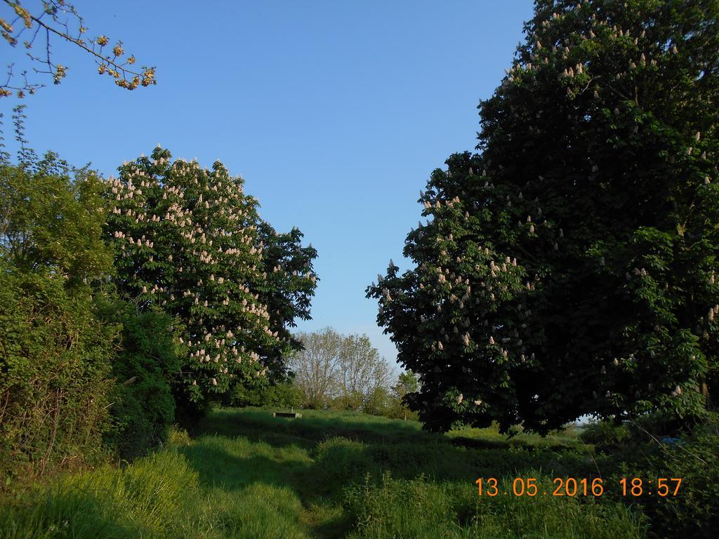 Ferme Manoir La Fiere Bed and Breakfast Sainte-Mère-Église Εξωτερικό φωτογραφία